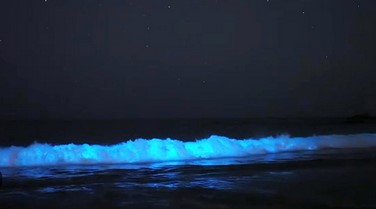 img/21/Gokarna (56).JPG